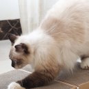 주)아토 이미지