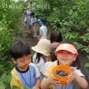 환이네농장 이미지