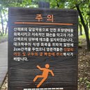 자인계정숲(씨름장) 이미지