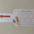 일랑에스테틱 네이버블로그