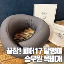 비행기에서 꿀잠! 피어17 달팽이 승무원목베개 추천해요