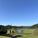 로얄체력단련장 | [경기도골프장 추천] 용인에 위치한 처인cc 골프장(처인체력단련장) 라운딩 후기