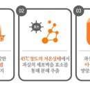 아람특허기술