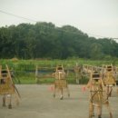 성원2농장 이미지