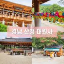 경남 산청 대원사 멋진 계곡이 보이는 사찰 방문기