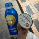 자몽호스텔 이미지