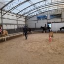 분당승마클럽 이미지