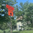 160012 | 트래블월렛 해외여행카드 추천 | 충전과 환불의 반복 | 미국 팁 선불충전카드로 | 좋은카드 잃어버림