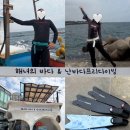 프리랑 | 제주 서귀포 난바다 프리다이빙제주액티비티 내돈내산 후기