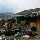 꿈꾸는흙집마당 이미지