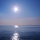 속초산오징어