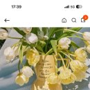 새해 위시리스트 | 레고트 텀블러, 파르베샵, 마지셔우드 가방, 로우로우 원지 백팩, 파사드패턴...