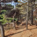 경기둘레길 김포59코스 이미지