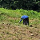 행복한 농원 이미지