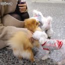 쇼룸776