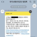 분당 판교메젠모터스 자동차 정기점검 후기