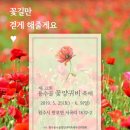 원주 용수골꽃양귀비축제 2019 이미지