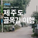 제주도 숨은 명소 제주도 골목길 여행 이미지