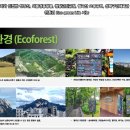 석관동6 이미지