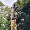 제주로국제여행사 이미지