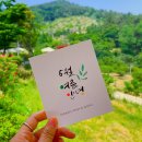 감성미니