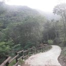 민주지산자연휴양림 이미지