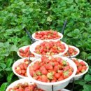 율하자연어린이집 이미지