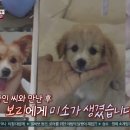 해드림농장 TV리포트