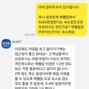 ㈜신세계관광여행사 | W6. 젊은여행사 블루 계약 내돈내산 후기/심사숙고 여행사 3곳 견적 비교