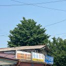군산 명물 [중동호떡] 웨이팅 주차