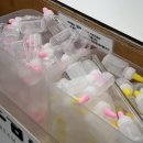 365드림동물약국 | 울산 매곡 연중무휴약국 365일 주말에도 운영하는 드림약국