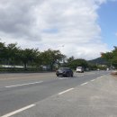 보불로(서) 이미지