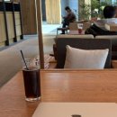 욜로피자앤커피 | [파크로쉬 리조트앤웰니스] 로쉬카페(Roche cafe)에서 식사 &amp; 작업 후기