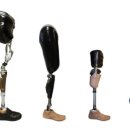 동성 보조기 이미지