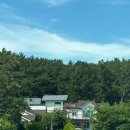 솔바다이야기 이미지