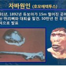 (자연과학의 역사) 102. 자바 원인 – 외젠 뒤부아 (1858~1940년) 이미지