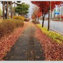 아중한빛안과의원 네이버블로그