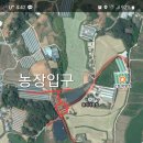 박영호 농장 Daum카페