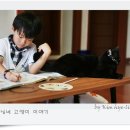 까도남 - 포항시 남구 | 까도남