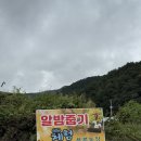 푸른농장 | 가을엔 대구근교 밤줍기! 칠곡 푸른농장 체험 후기