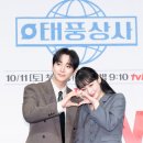 선상사 마이데일리