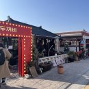 두꺼비 애견 이미지