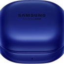 브라운버즈 이미지