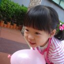 성일어린이공원 Daum카페