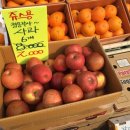 판교동577-1 이미지