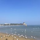 재영민박 이미지