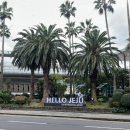 부산청과 2번 | [제주] 제주도 3박 4일 일정 추천,제주 여행 계획 내돈내산, 제주도 가볼만한 곳 (with 친구랑)