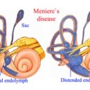중국감초당한의원 이미지