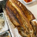 전주선비빔 - 강릉시 | 동대문 현대아울렛 지하 식당가 푸드코트 생선구이 맛집 전주선비빔 솔직후기