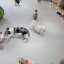 참견아카데미 이미지